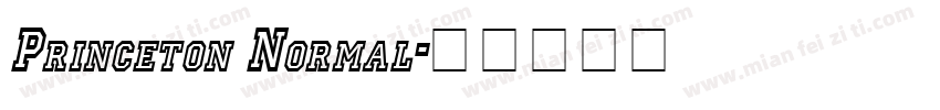 Princeton Normal字体转换